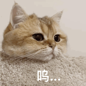 91嫩草一区二区三区
